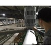 工業大吊扇，工業大風扇，大風扇